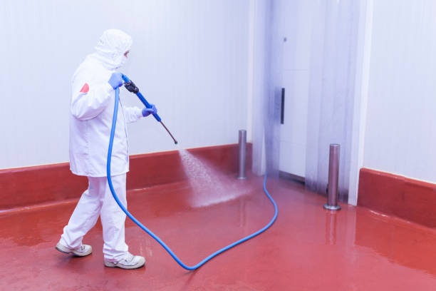 Best Oil Spill Cleanup  in Stanhope, NJ